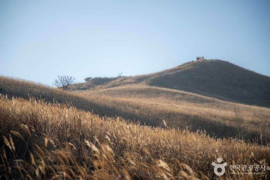황매산 군립공원 여행 추천 - 로드트립