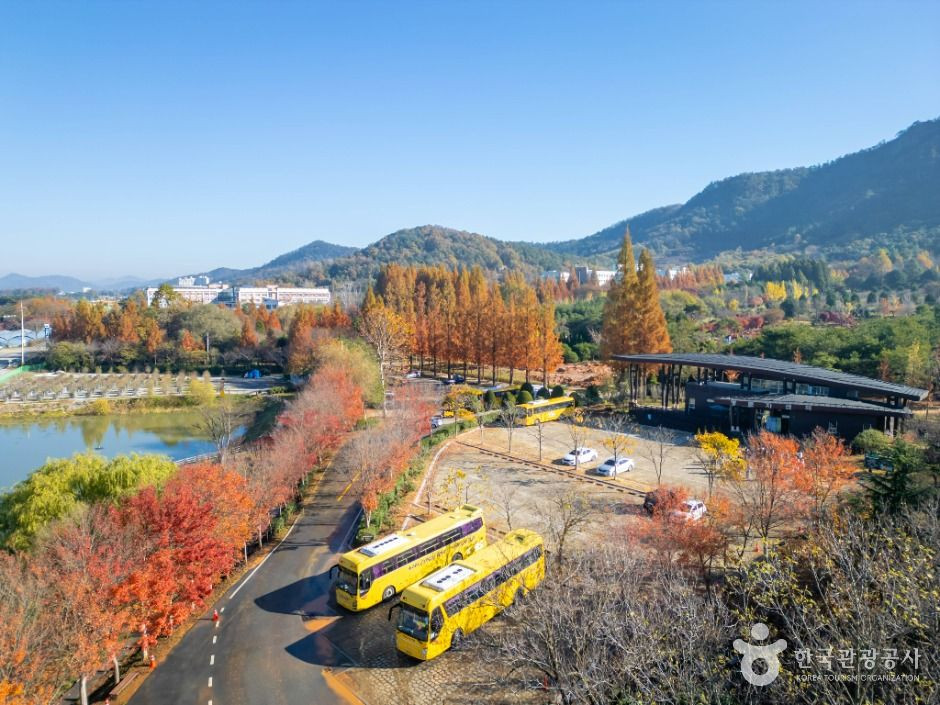 전라남도 산림연구원 여행 추천 - 로드트립