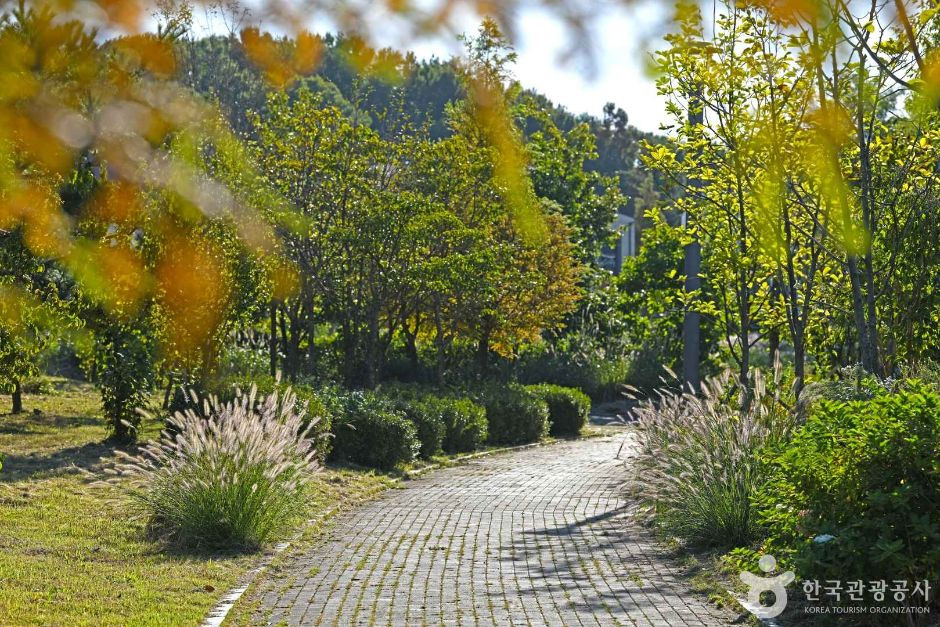 김포 사색의 길 여행 추천 - 로드트립