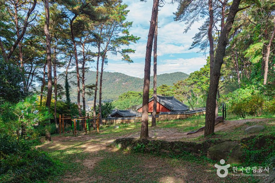 제봉산 마법의 숲 체험원 여행 추천 - 로드트립