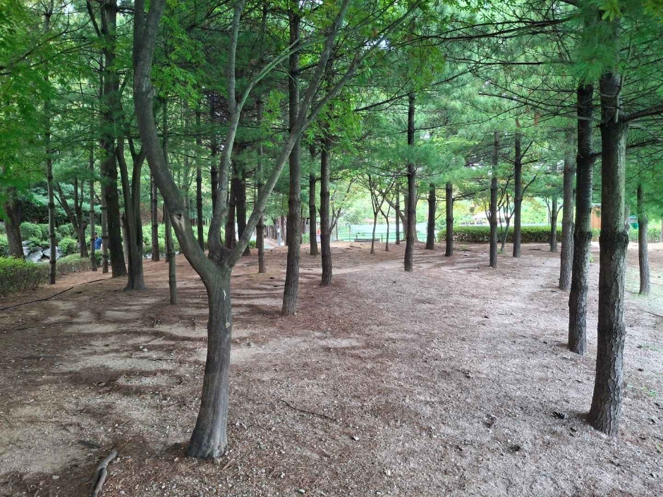 대현산배수지공원·대현산배수지공원 모노레일 여행 추천 - 로드트립