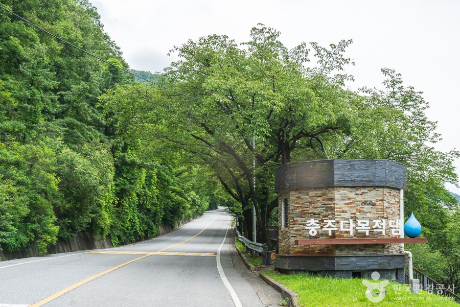 충주댐 벚꽃길 여행 추천 - 로드트립