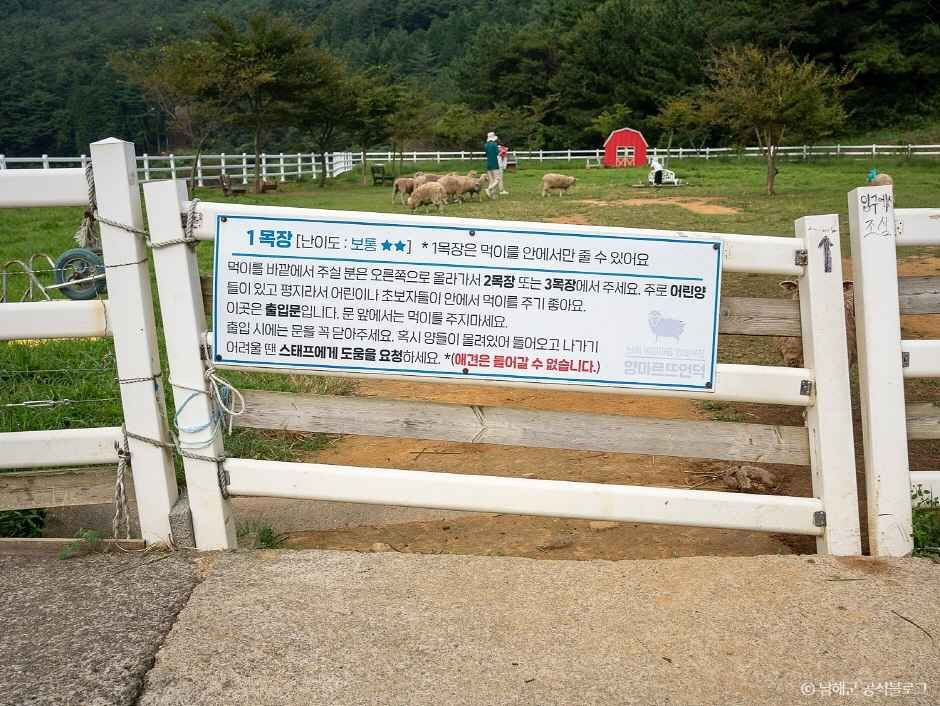 남해양떼목장 양마르뜨언덕 여행 추천 - 로드트립