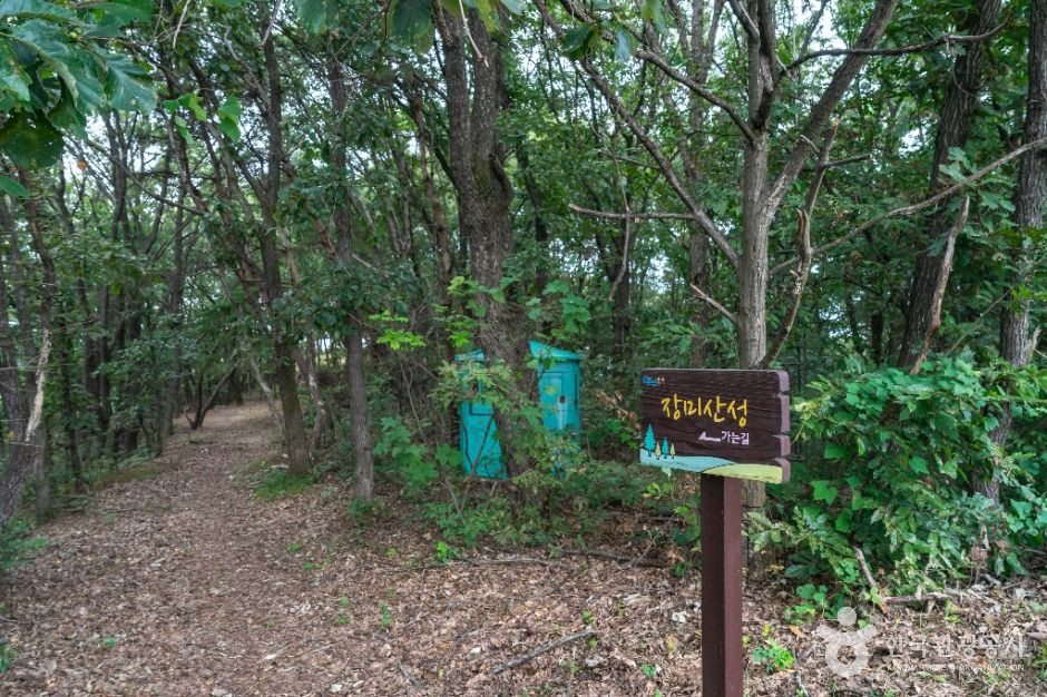 충주 장미산성 여행 추천 - 로드트립