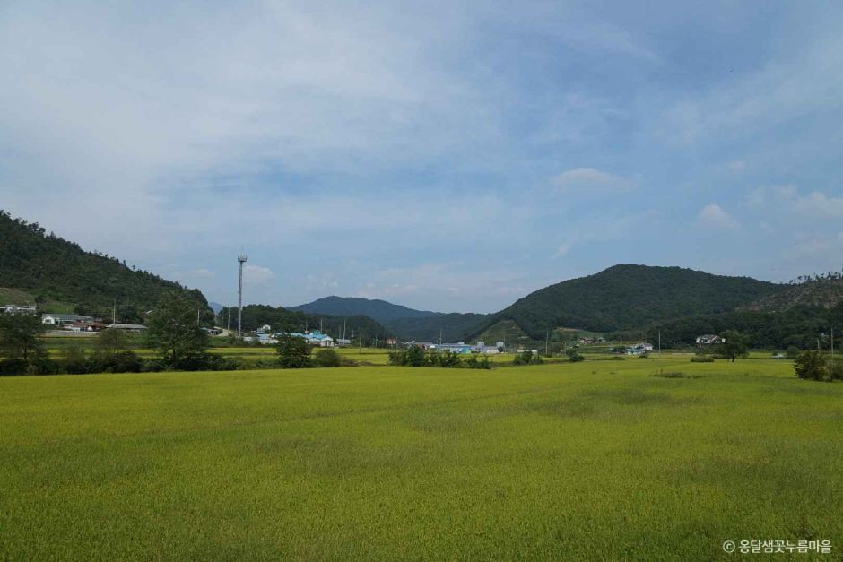 양평 옹달샘꽃누름마을 여행 추천 - 로드트립