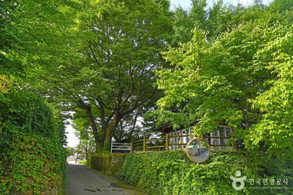 온동마을 여행 추천 - 로드트립