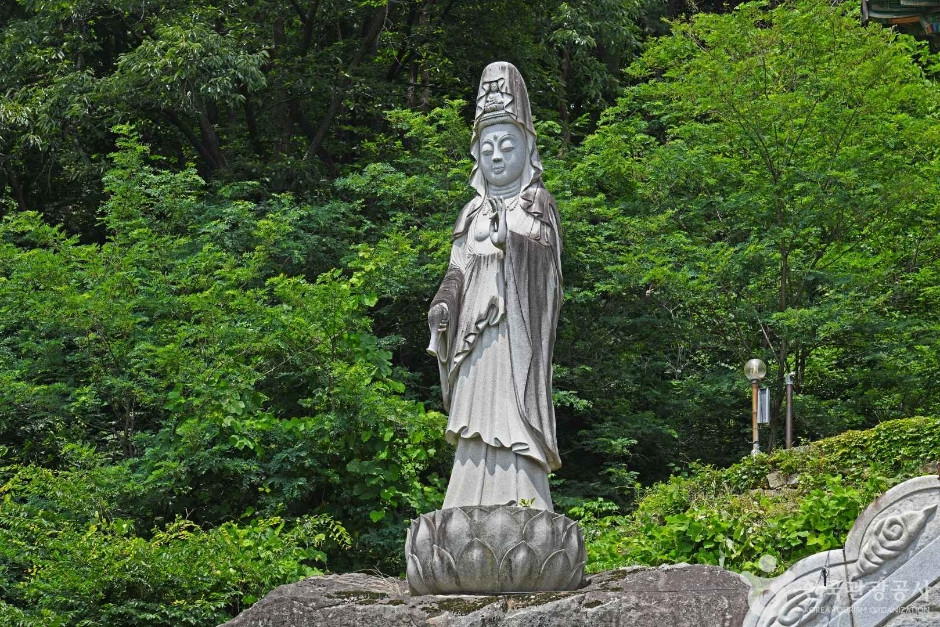 백운사(괴산) 여행 추천 - 로드트립
