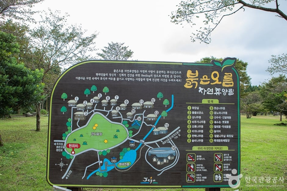 붉은오름자연휴양림 여행 추천 - 로드트립