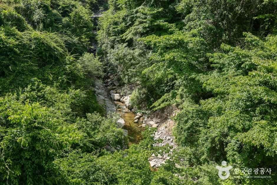 동산계곡 여행 추천 - 로드트립