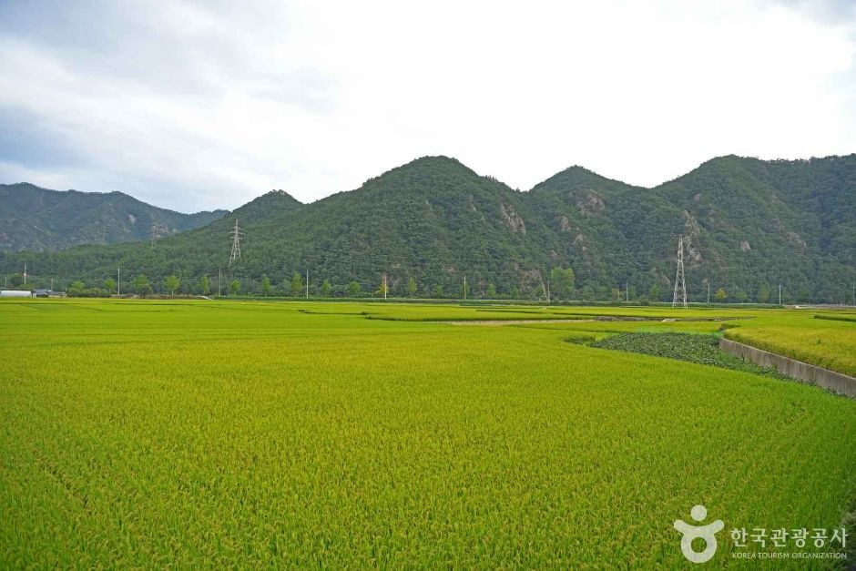 산양마을 여행 추천 - 로드트립