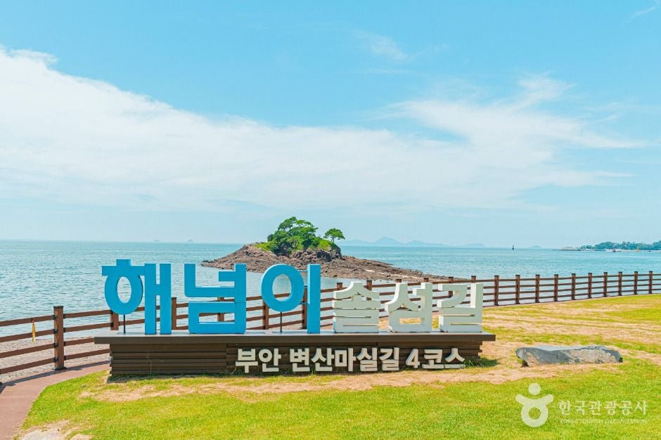 부안 솔섬 여행 추천 - 로드트립