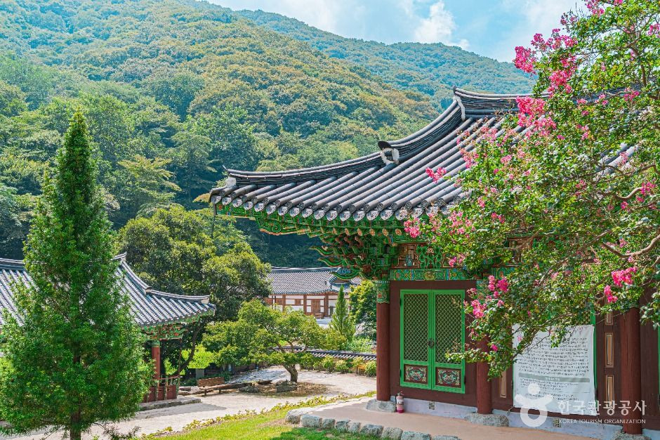불회사(나주) 여행 추천 - 로드트립