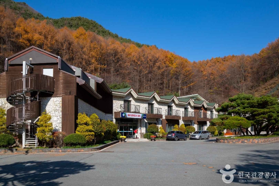 만인산 자연휴양림 여행 추천 - 로드트립