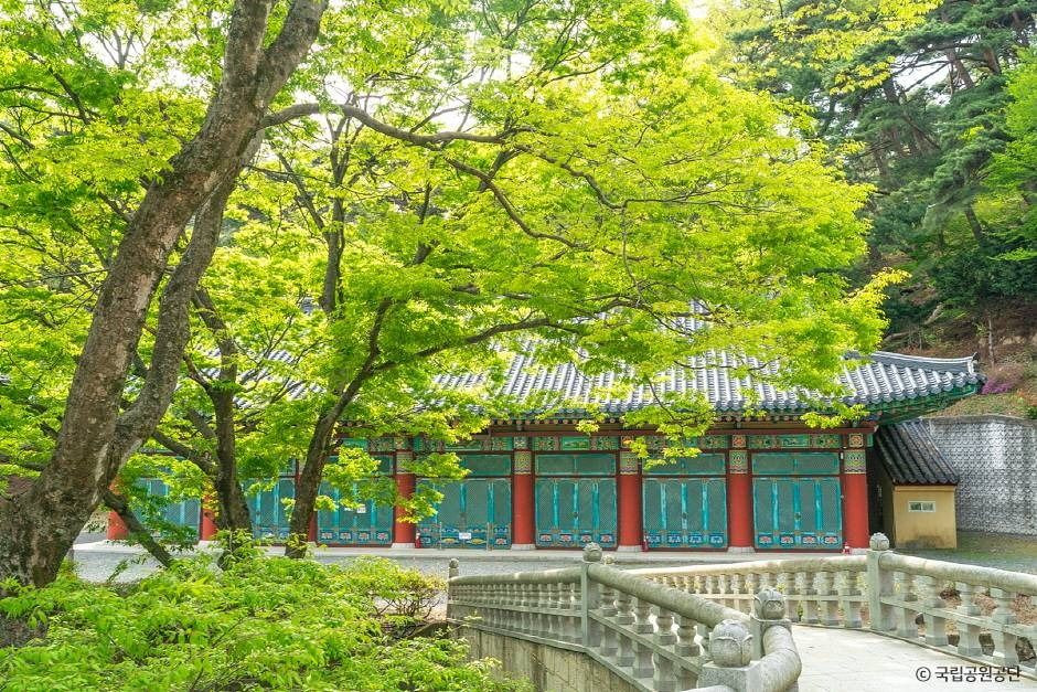 파계사 여행 추천 - 로드트립