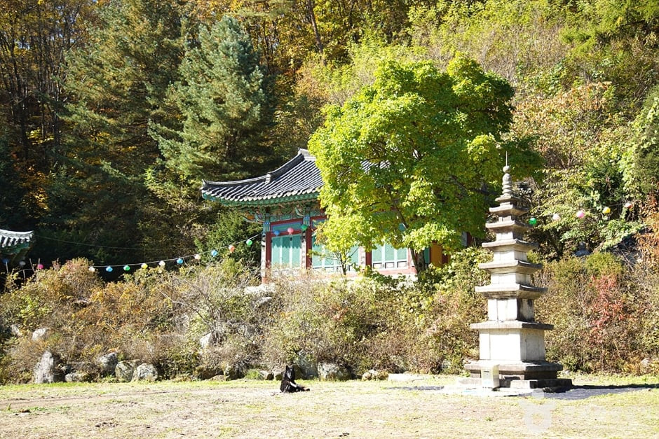 화악산 여행 추천 - 로드트립