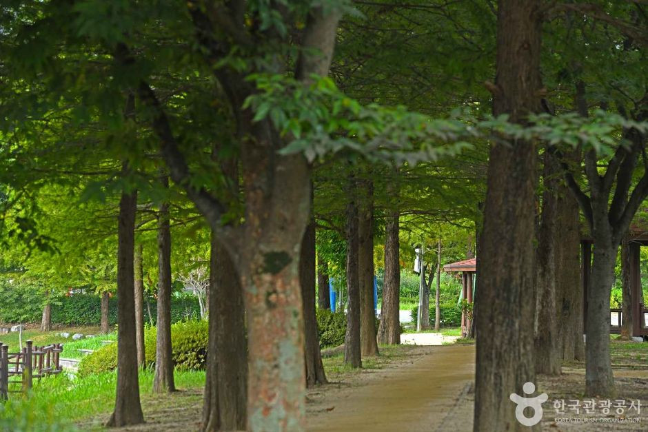 둔산공원 여행 추천 - 로드트립