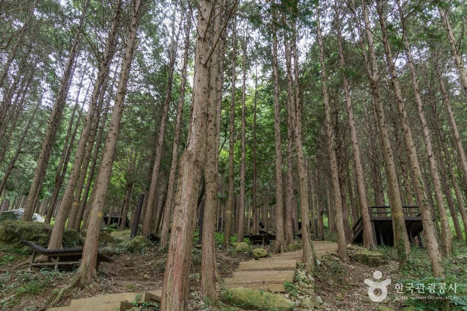 용두공원 여행 추천 - 로드트립
