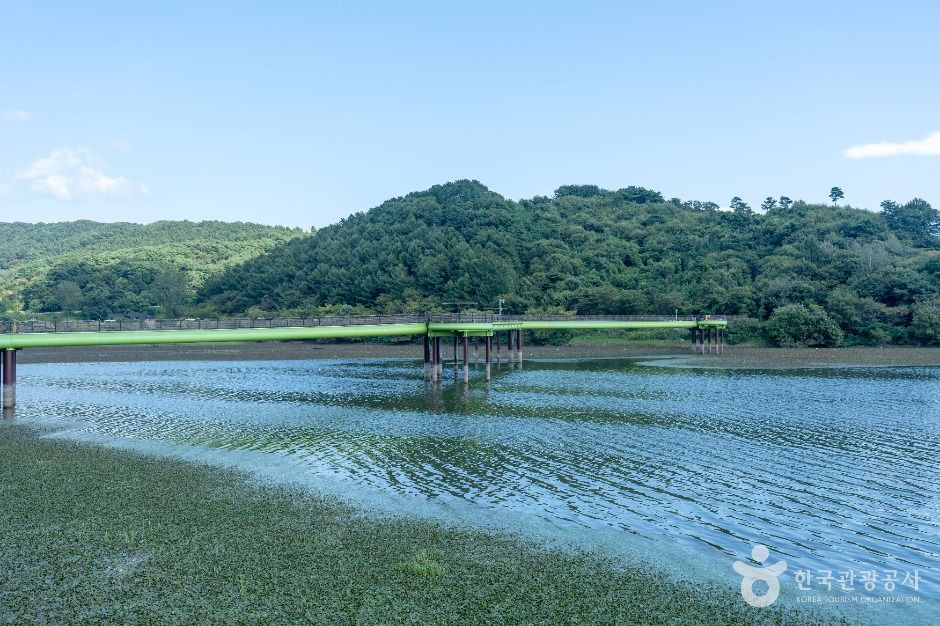 봉선저수지 여행 추천 - 로드트립
