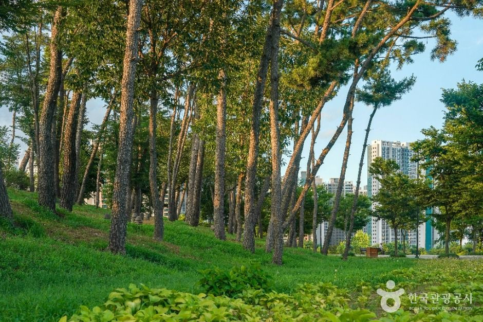 중산지 여행 추천 - 로드트립