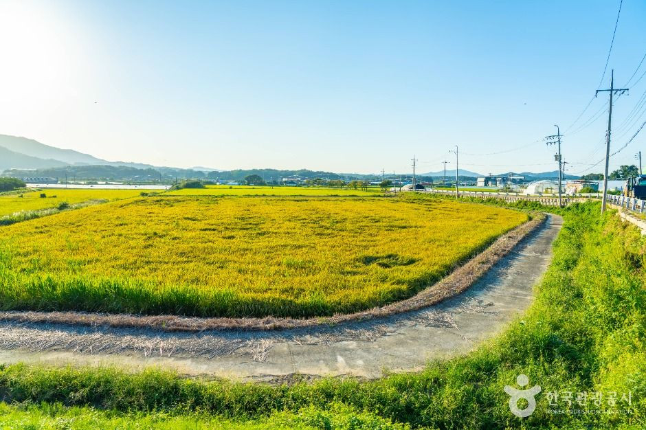 이천 부래미마을 여행 추천 - 로드트립