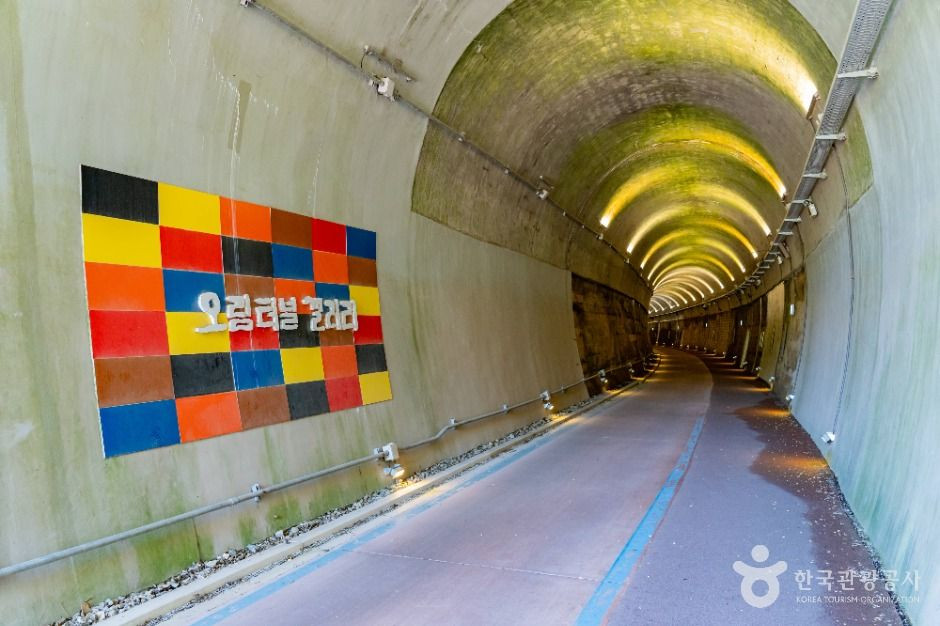 오림터널 여행 추천 - 로드트립