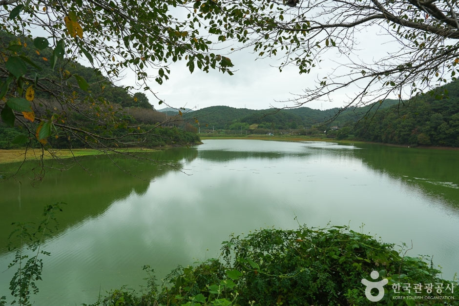 고남 저수지 여행 추천 - 로드트립