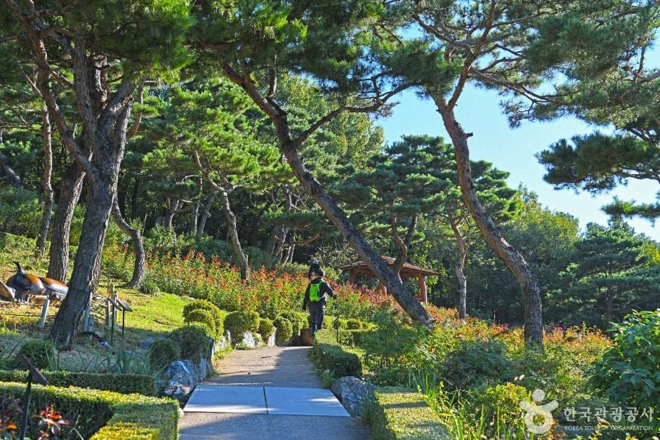 계양산장미원 여행 추천 - 로드트립