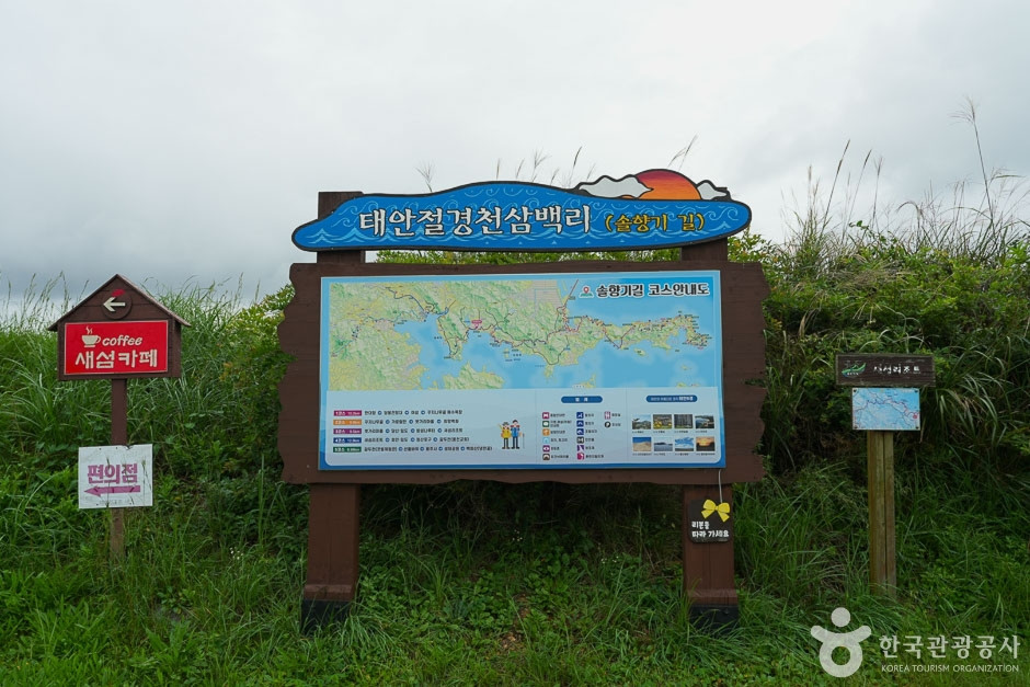 솔향기길 4코스 여행 추천 - 로드트립