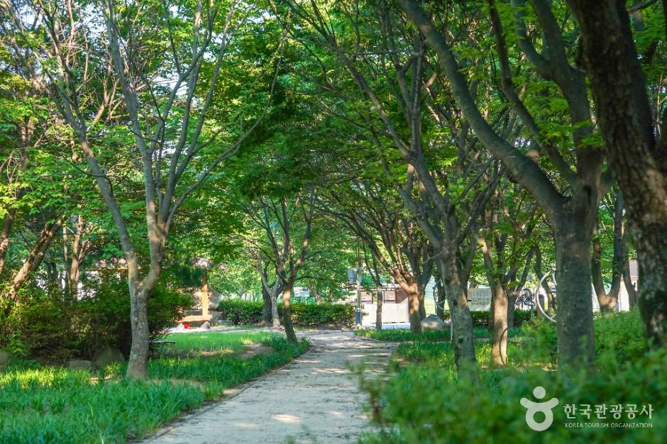미천공원 여행 추천 - 로드트립