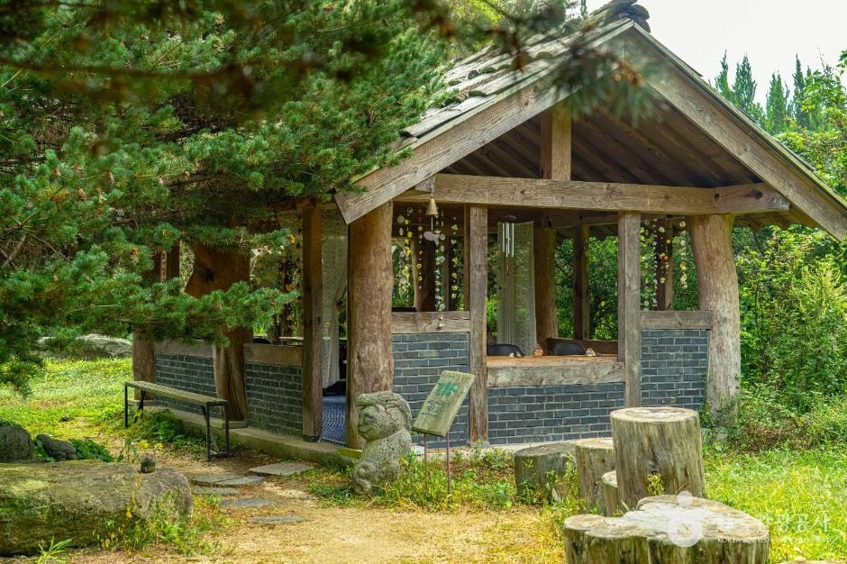 천개의향나무숲 여행 추천 - 로드트립