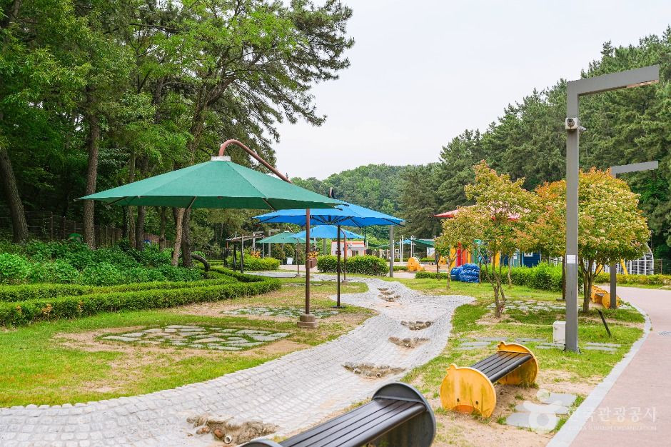 선암호수공원 무지개놀이터 여행 추천 - 로드트립