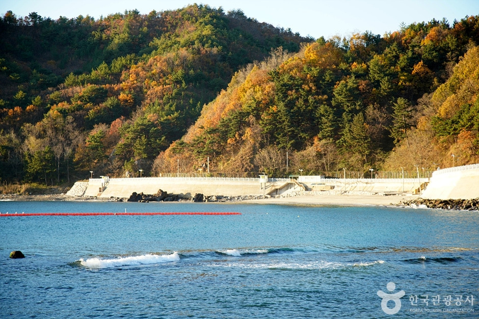 임원해변 여행 추천 - 로드트립