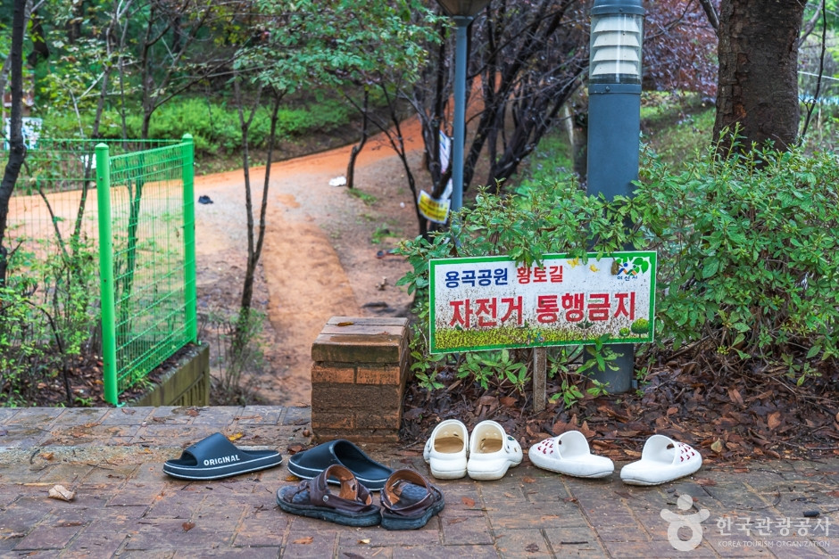 에코힐링 황톳길 여행 추천 - 로드트립