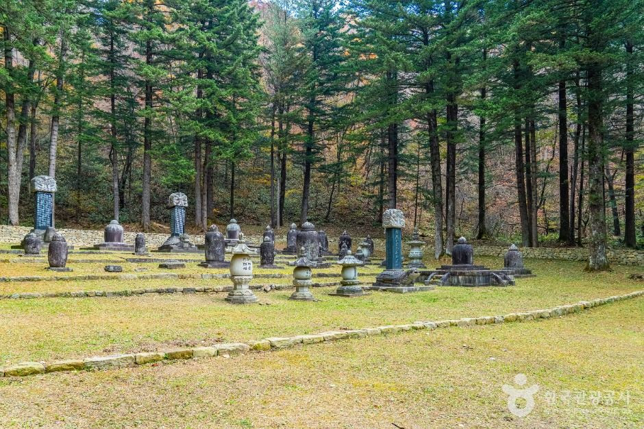 월정사 부도군 여행 추천 - 로드트립