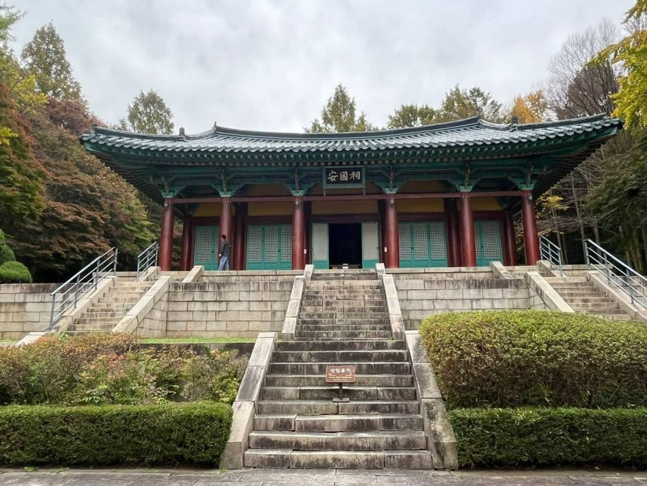 안국사 여행 추천 - 로드트립