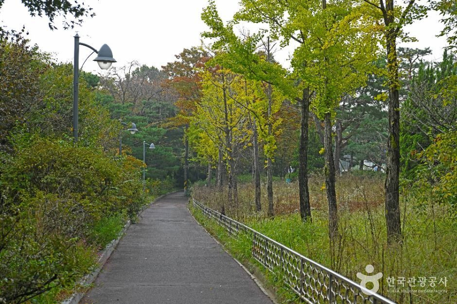 효행공원 여행 추천 - 로드트립