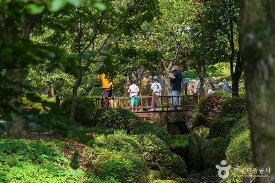 용인자연휴양림 여행 추천 - 로드트립