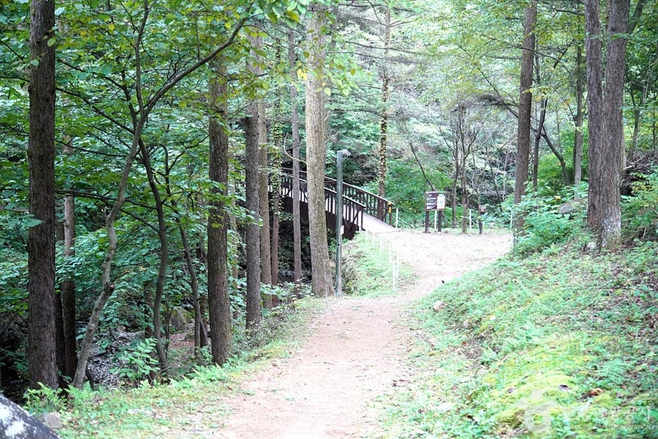 국립 백운산자연휴양림(원주) 여행 추천 - 로드트립