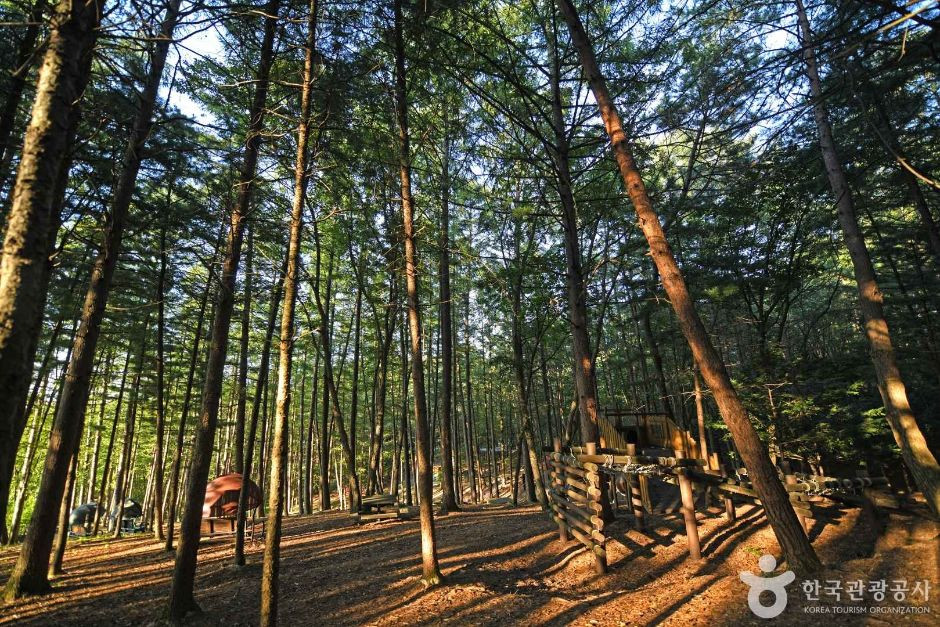 봉래산산림욕장 여행 추천 - 로드트립