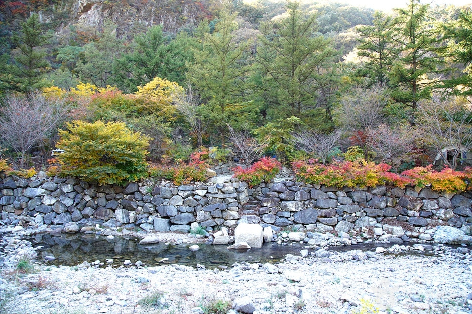 담터계곡 여행 추천 - 로드트립