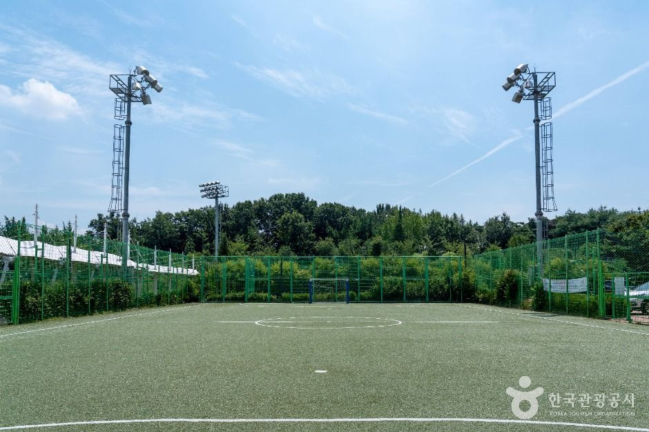 안중레포츠공원 여행 추천 - 로드트립