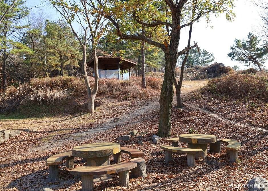 추화산성 여행 추천 - 로드트립