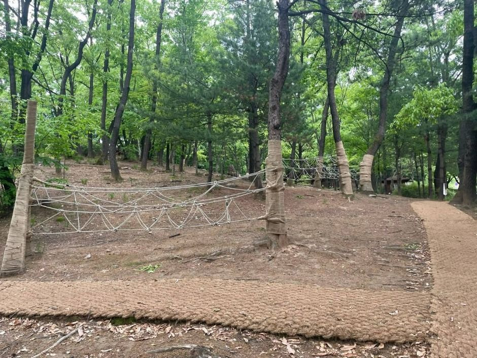 오목문화 유아숲체험원 여행 추천 - 로드트립