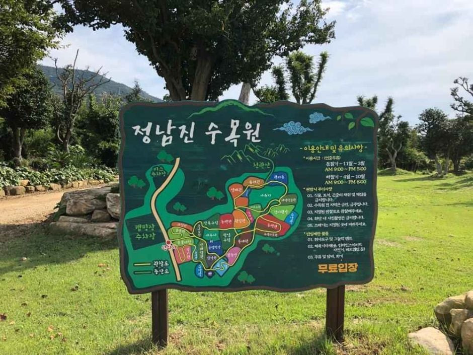 정남진 수목원 여행 추천 - 로드트립