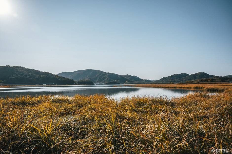 학저수지 여행 추천 - 로드트립