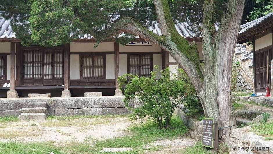 가평 연하리향나무 여행 추천 - 로드트립