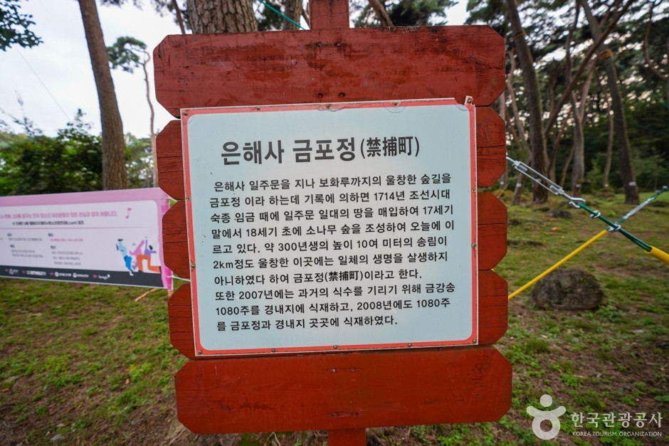 은해사(영천) 여행 추천 - 로드트립