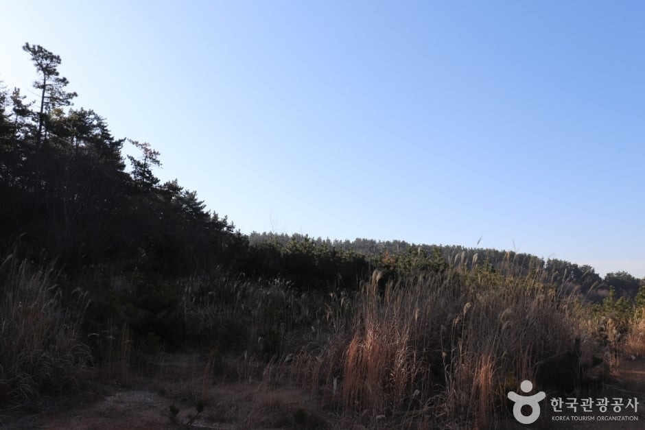 용골산 여행 추천 - 로드트립