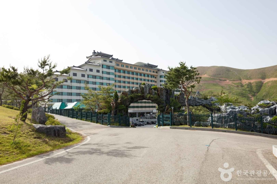 동해약천온천실버타운 여행 추천 - 로드트립