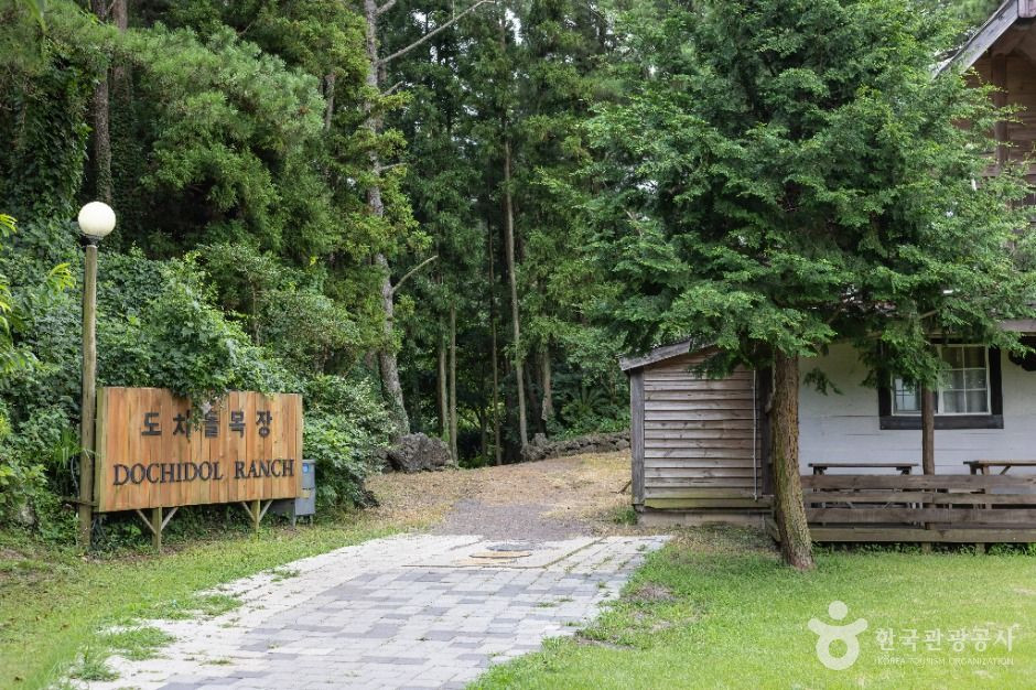 도치돌 알파카목장 여행 추천 - 로드트립